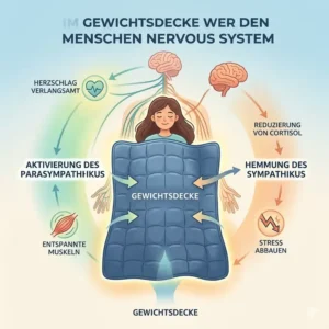 Wie das vegetative Nervensystem positiv auf eine schwere decke stressabbau reagiert.